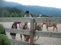 Camp 13 Sabri (52)